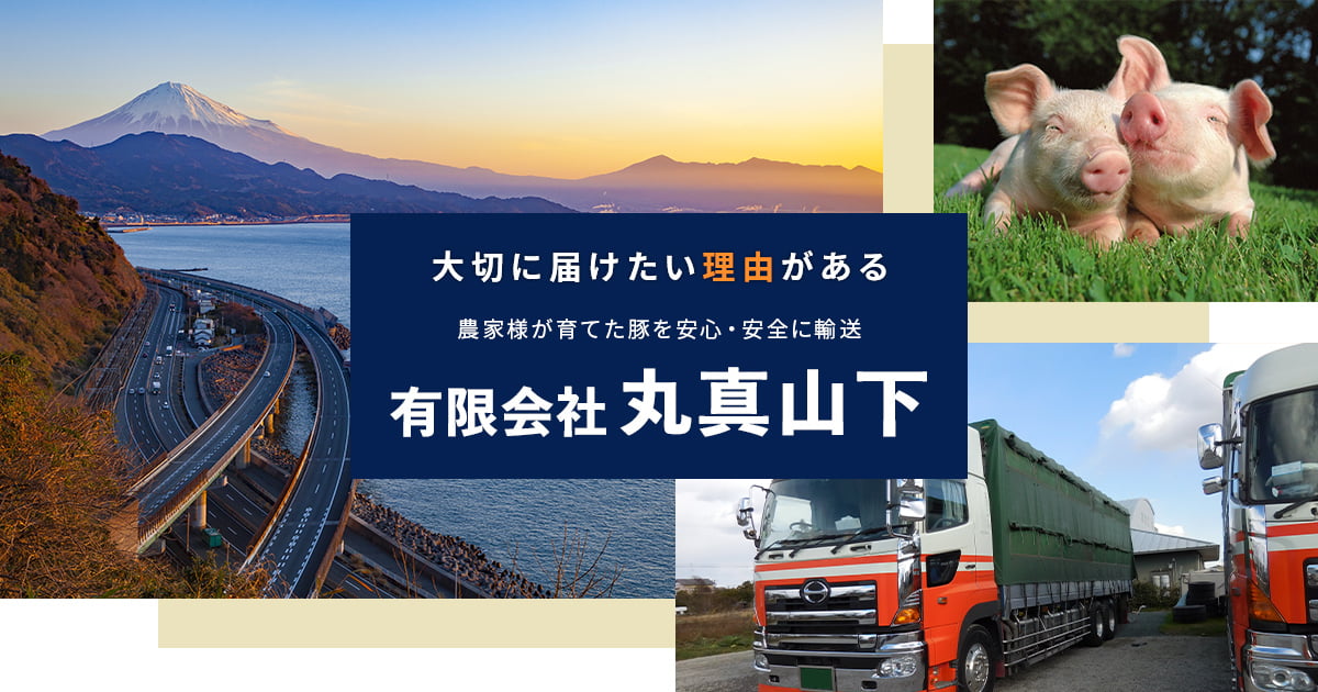 豚の生体輸送は有限会社丸真山下へお任せください
